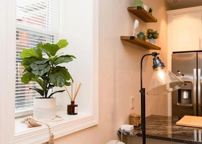 Apartment Luxury King Near Shadyside Hospital